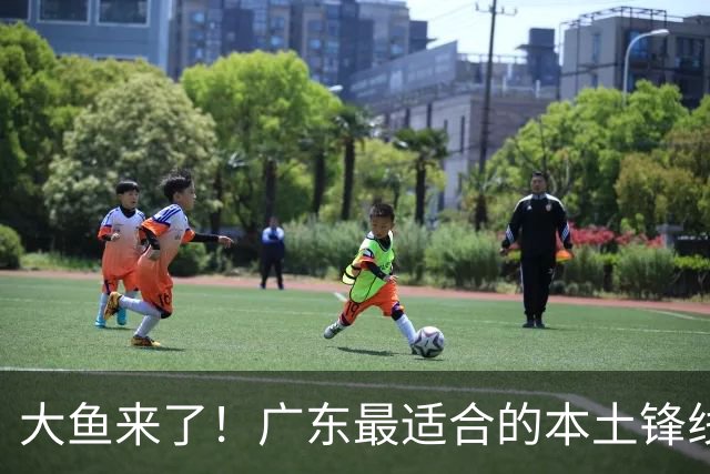 大鱼来了！广东最适合的本土锋线曝光，朱芳雨可能完成“2换1”？